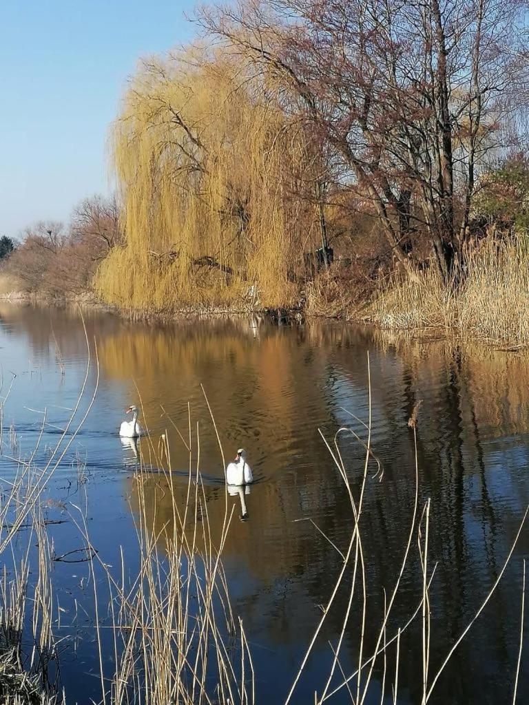 *Dana Pokoje Goscinne Gdansk Dış mekan fotoğraf